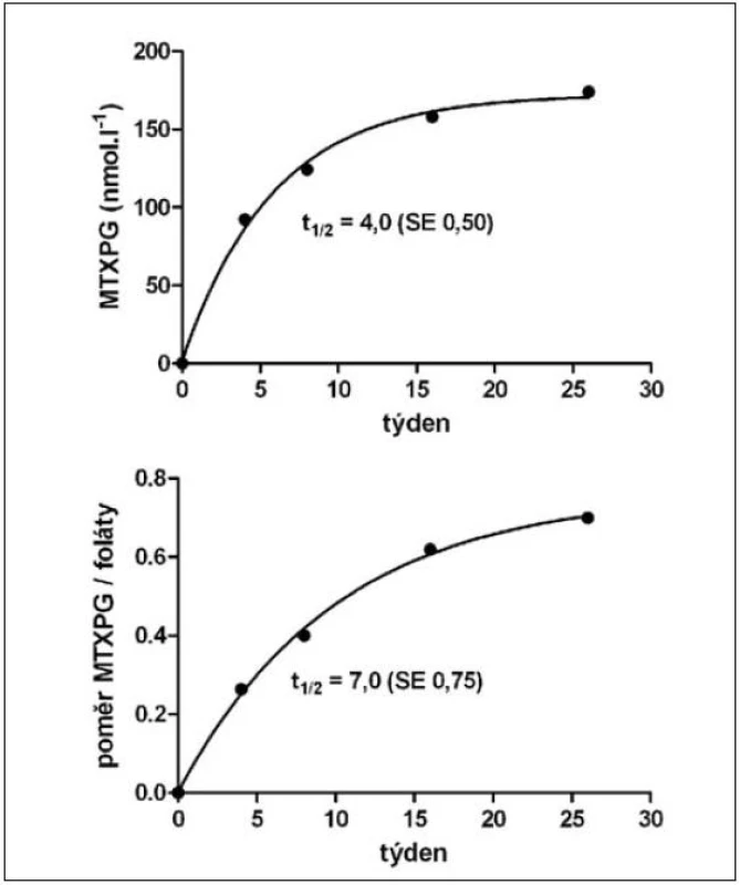 Geometrické průměry koncentrace polyglutamátů metotrexátu v erytrocytech (MTXPG, nahoře) a jejího poměru ke koncentraci folátů v krvi (MTXPG/foláty, dole)
Nárůst hodnot probíhal podle kinetiky prvního řádu s poločasem 4 (MTXPG) a 7 týdnů (MTXPG/foláty). SE – standardní chyba odhadu