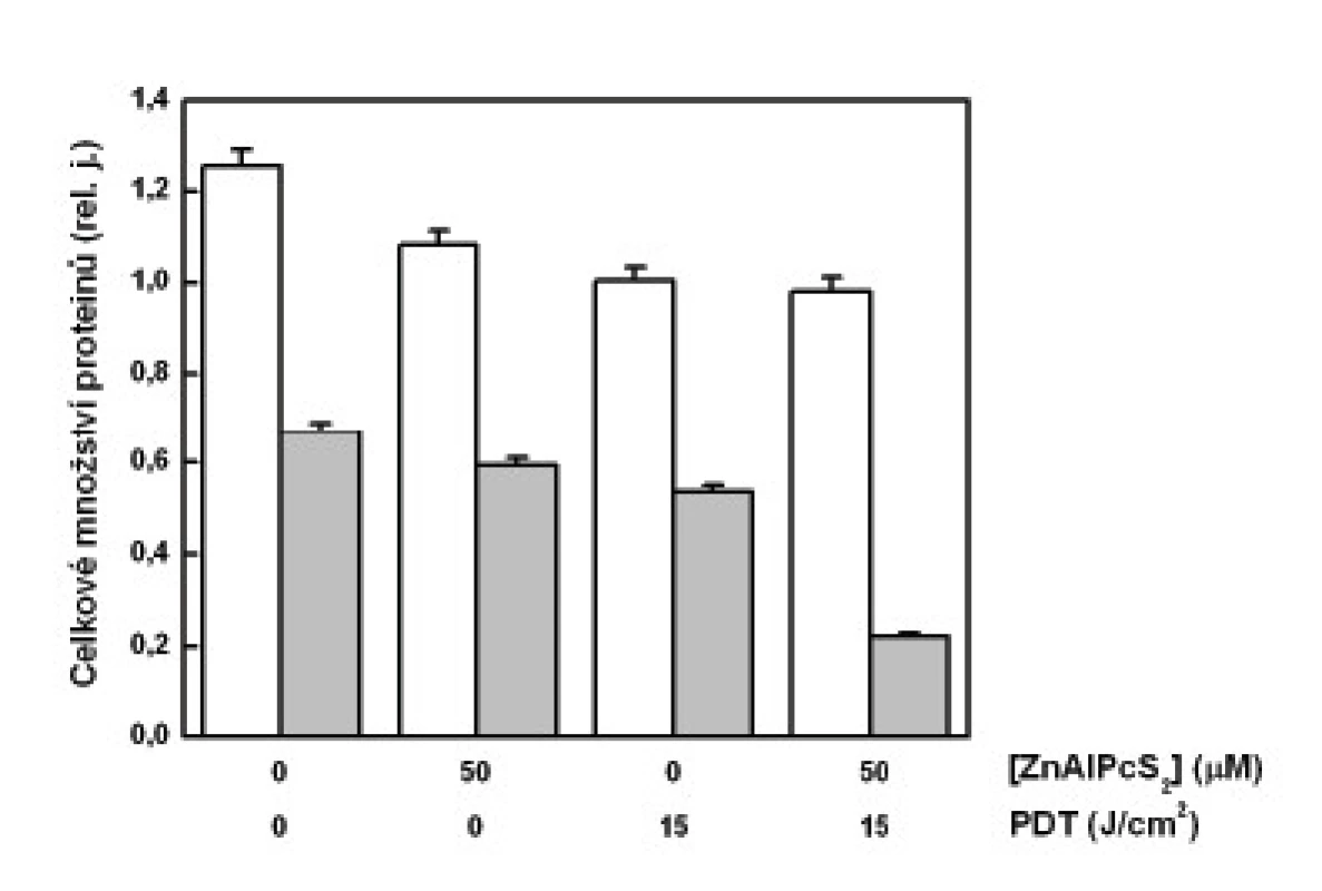 Celkové množství proteinů v analyzovaných vzorcích – cytozolová frakce (sloupce bez vybarvení), mitochondriální frakce (šedé sloupce). Analýza protei-nů byla provedena na buňkách G361 vystavených účinku PDT. Zobrazená data reprezentují průměrné hodnoty a směrodatné odchylky ze 3 nezávislých měření.