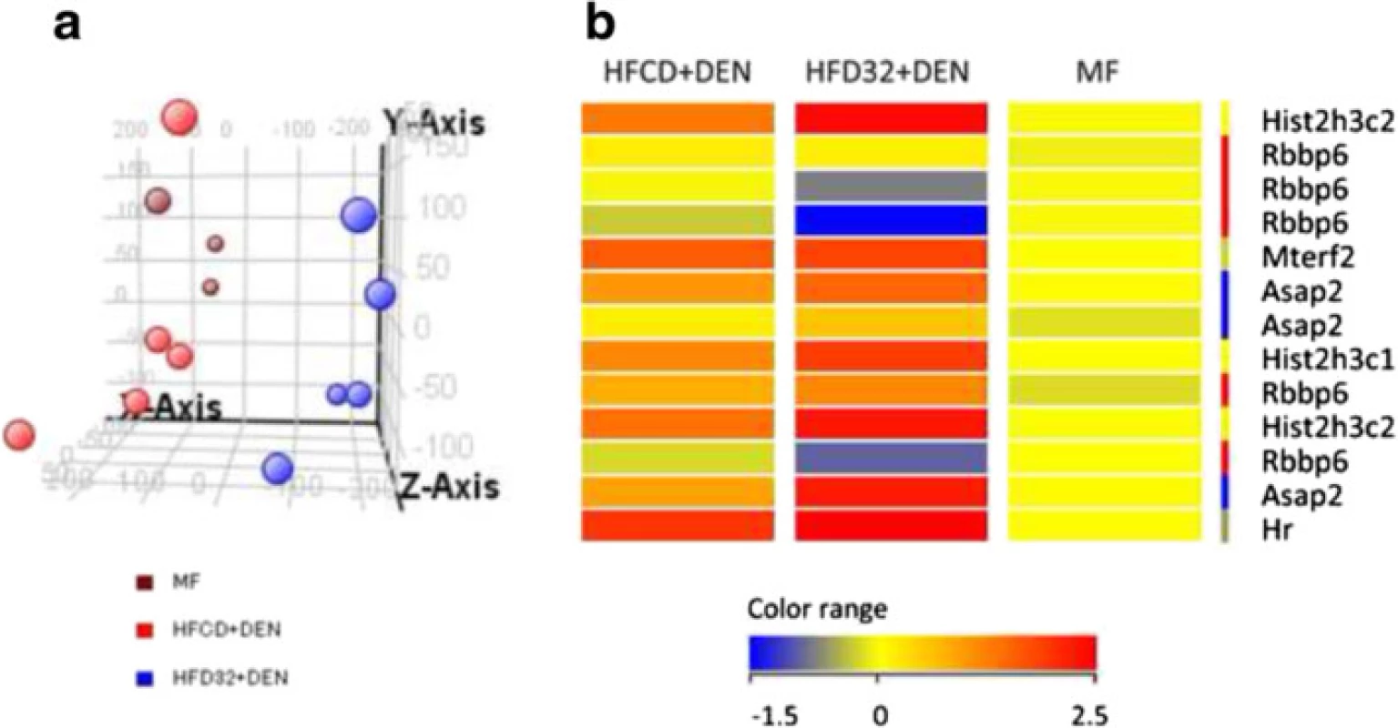 Expression of MF, HFCD + DEN, and HFD32. a Principal component analysis of MF (brawn), HFCD + DEN (red), and HFD32 + DEN (blue). MF group contained three mice. HFCD + DEN and HFD32 + DEN group contained five mice. b Heat map of HCC-related genes common to both HFCD + DEN and HFD32 + DEN. DEN, diethylnitrosamine; standard diet (MF); HFCD, high-fat, choline-deficient diet; HFD32, high-fat diet