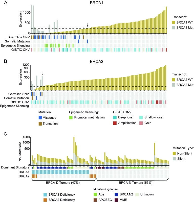 BRCA deficiency characterized by low wild-type transcript abundance defines a unique subtype of triple negative breast cancer.