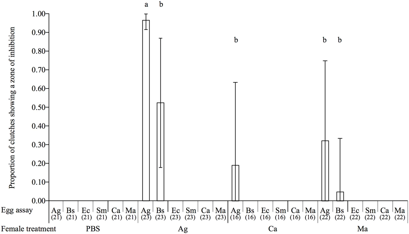 Barplot showing the mean proportion of egg extracts showing a zone of inhibition according to the microorganism on which they were tested (egg assay) and the maternal microbial treatment.