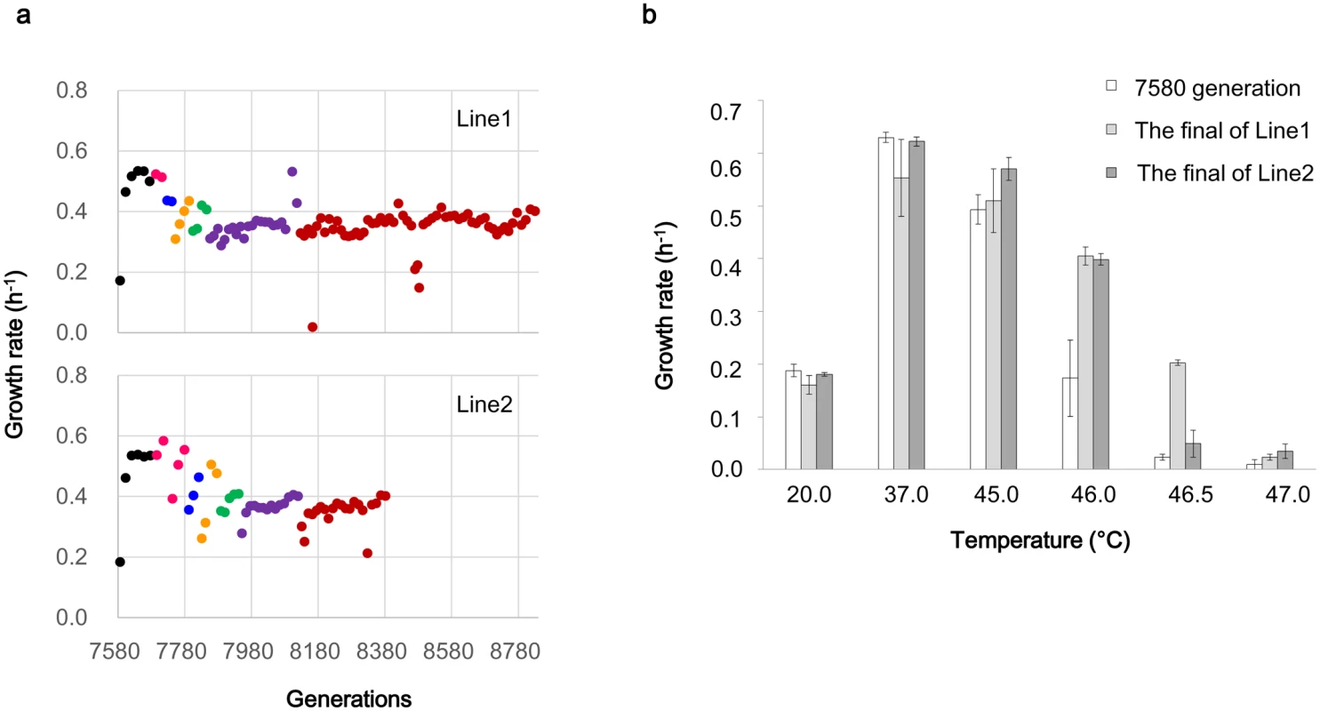 Growth rate changes in the evolution for thermal adaptation.
