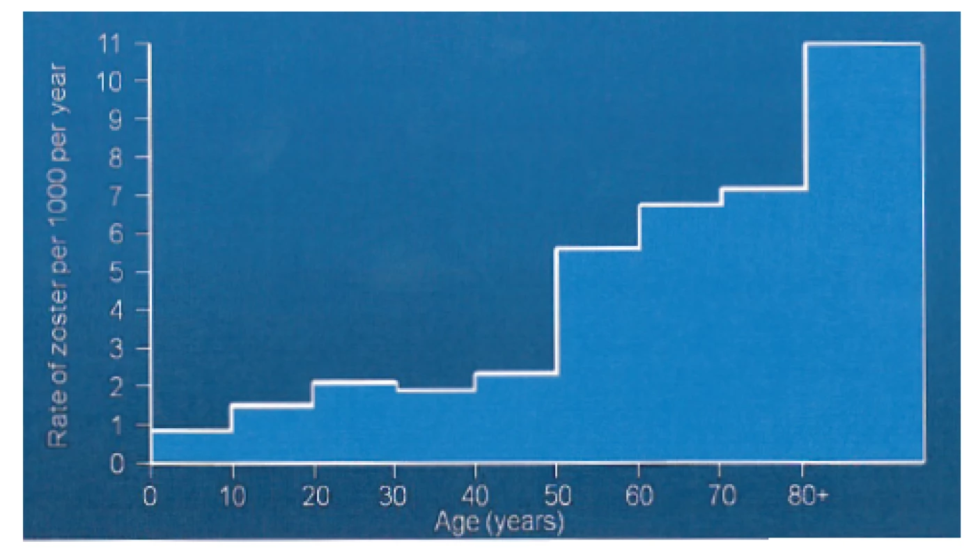 Incidence herpes zoster v závislosti na věku pacientů [52]
Fig. 10. Age-specific incidence of herpes zoster [52]