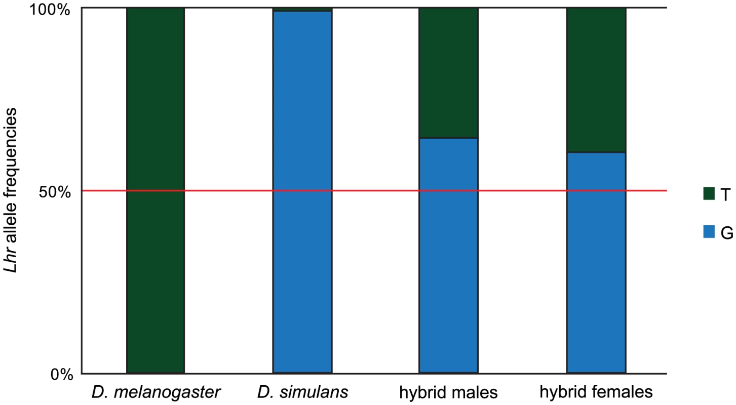 Asymmetric expression of <i>Lhr</i> orthologs in hybrids.