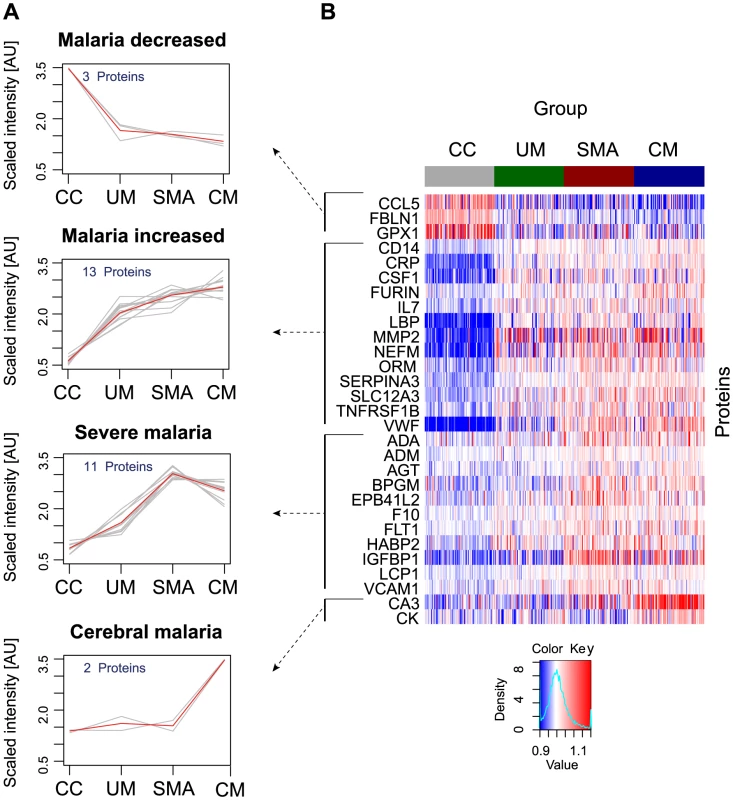 Identification of 29 human proteins discriminating community controls and malaria cases.