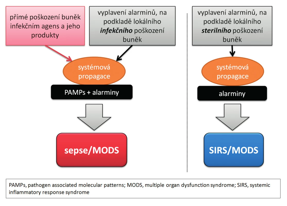 Zjednodušené schéma rozvoje sepse SIRS, MODS po inzultech infekční i neinfekční etiologie