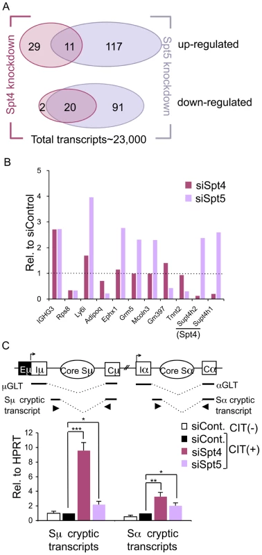 Spt4 and Spt5 regulate small yet distinct sets of transcripts.