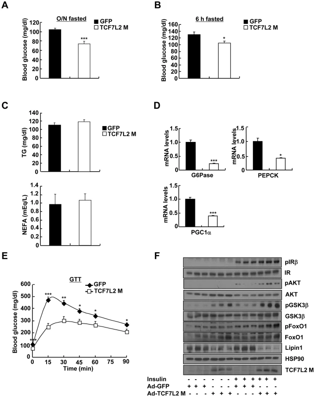 Ectopic expression of TCF7L2 in the liver alleviates impaired glucose metabolism in high-fat diet-fed mice.