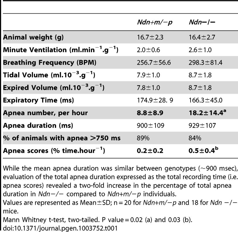 Respiratory pattern and apnea in <i>Ndn</i>−/− young adult versus <i>Ndn</i>+m/−p mice.