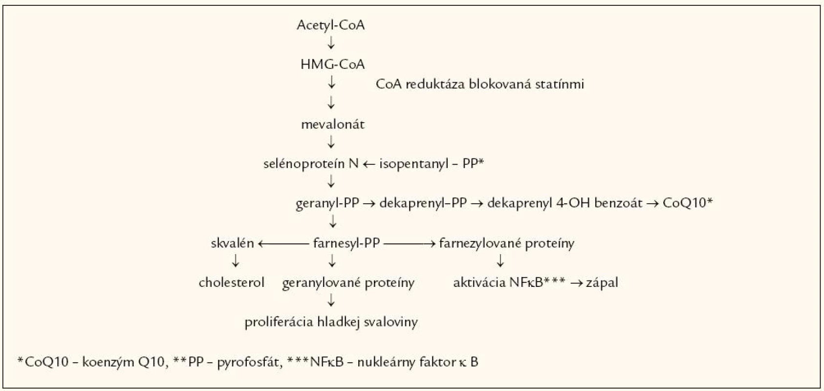 Metabolická cesta syntézy cholesterolu, koenzýmu Q10, zápalových a proliferačne pôsobiacich proteínov.