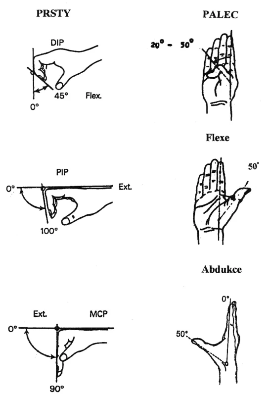 Hybnost prstů a palce