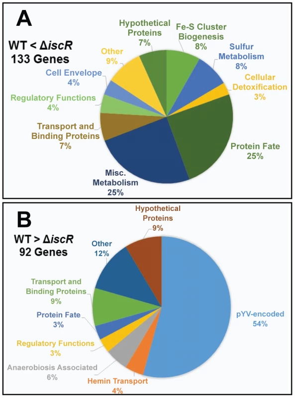 IscR impacts global gene expression in <i>Y. pseudotuberculosis</i> under iron replete conditions.