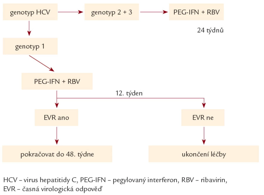 Použité terapeutické schéma pro kombinaci PEG- IFN a ribavirin.