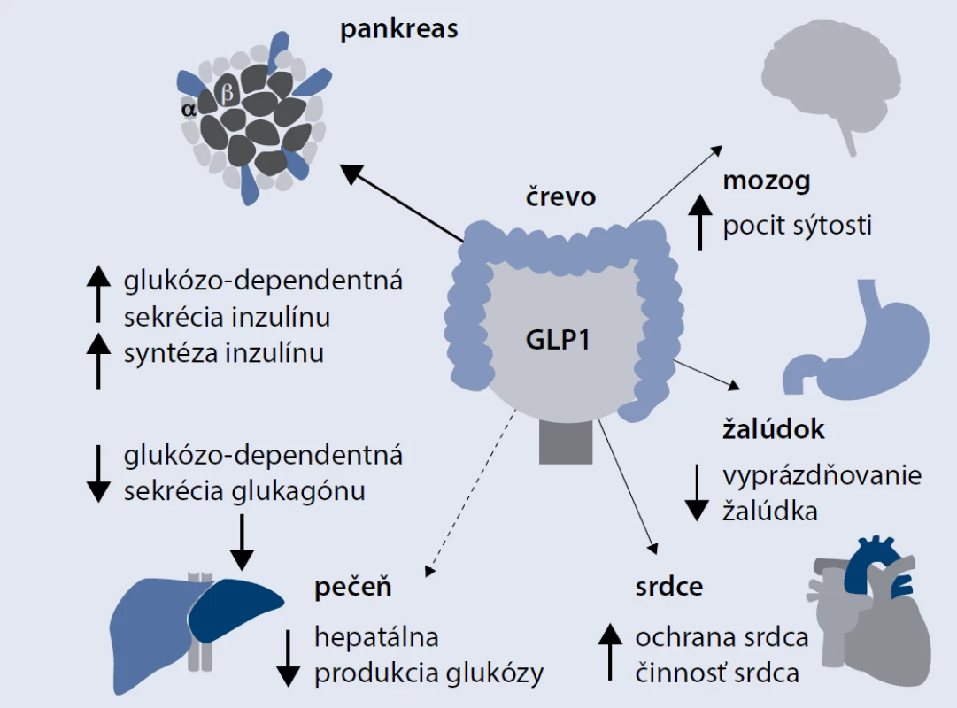 Multiorgánové benefity GLP1 analógov