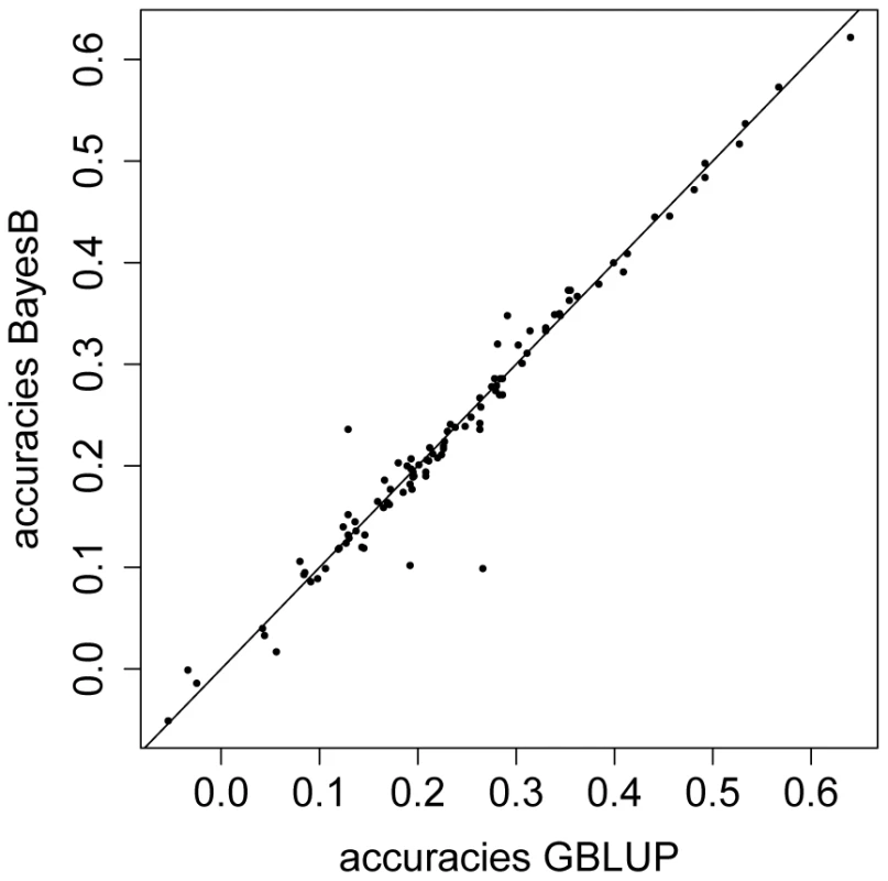 Predictive ability for GBLUP versus BayesB using phenotypic values of starvation resistance.