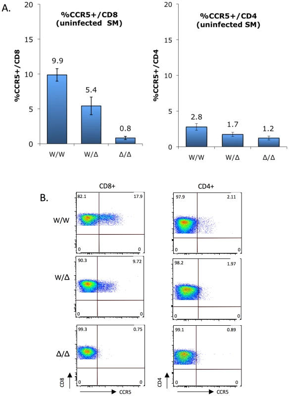 CCR5 surface expression on sooty mangabey CD4+ and CD8+ T cells <i>ex vivo</i>.