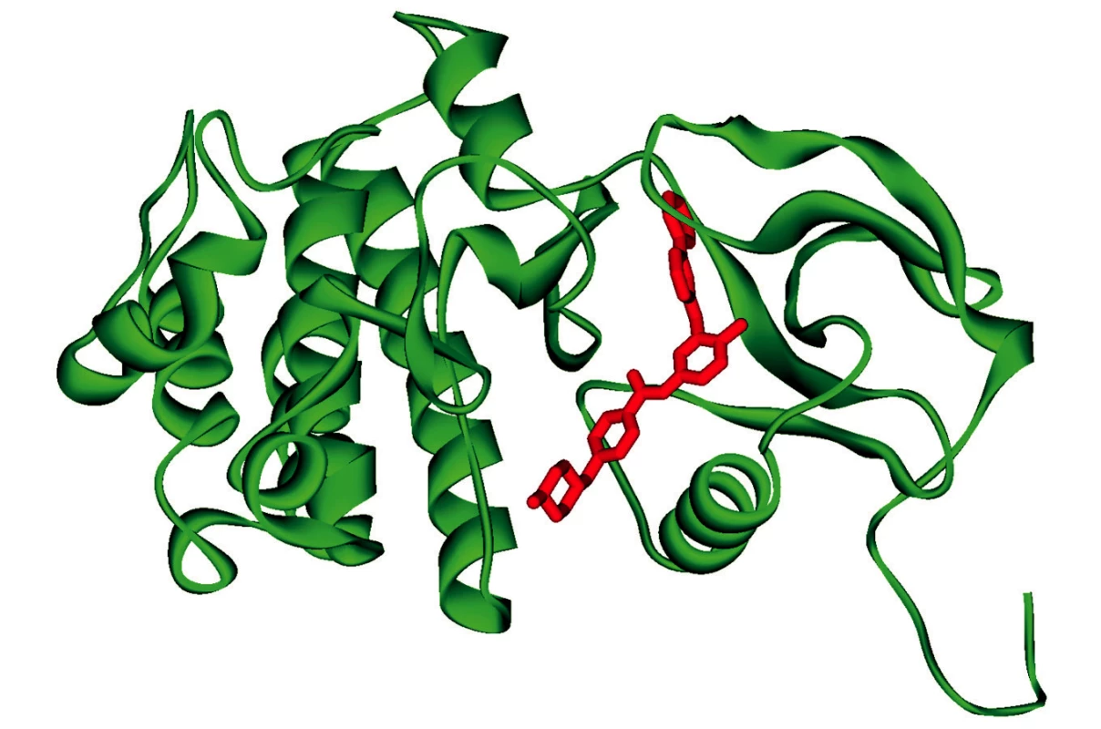 Schéma umístění molekuly inhibitoru (imatinib) do molekuly BCR_ABL kinázy (obrázek převzat z encyklopedie Wikipedia – http://en.wikipedia.org/wiki/File:Bcr_abl_STI_1IEP.png)