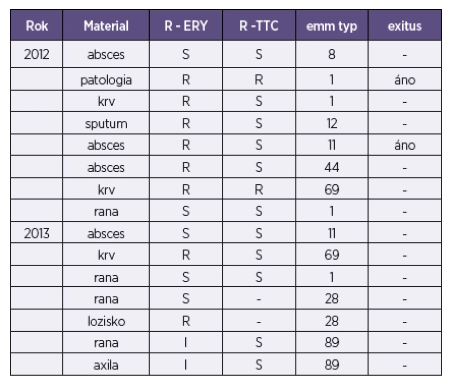 Charakteristika kmeňov S. pyogenes s vyšetrenými emm typmi (n = 15)
Table 1. Charakteristika kmeňov S. pyogenes s vyšetrenými emm typmi (n = 15)