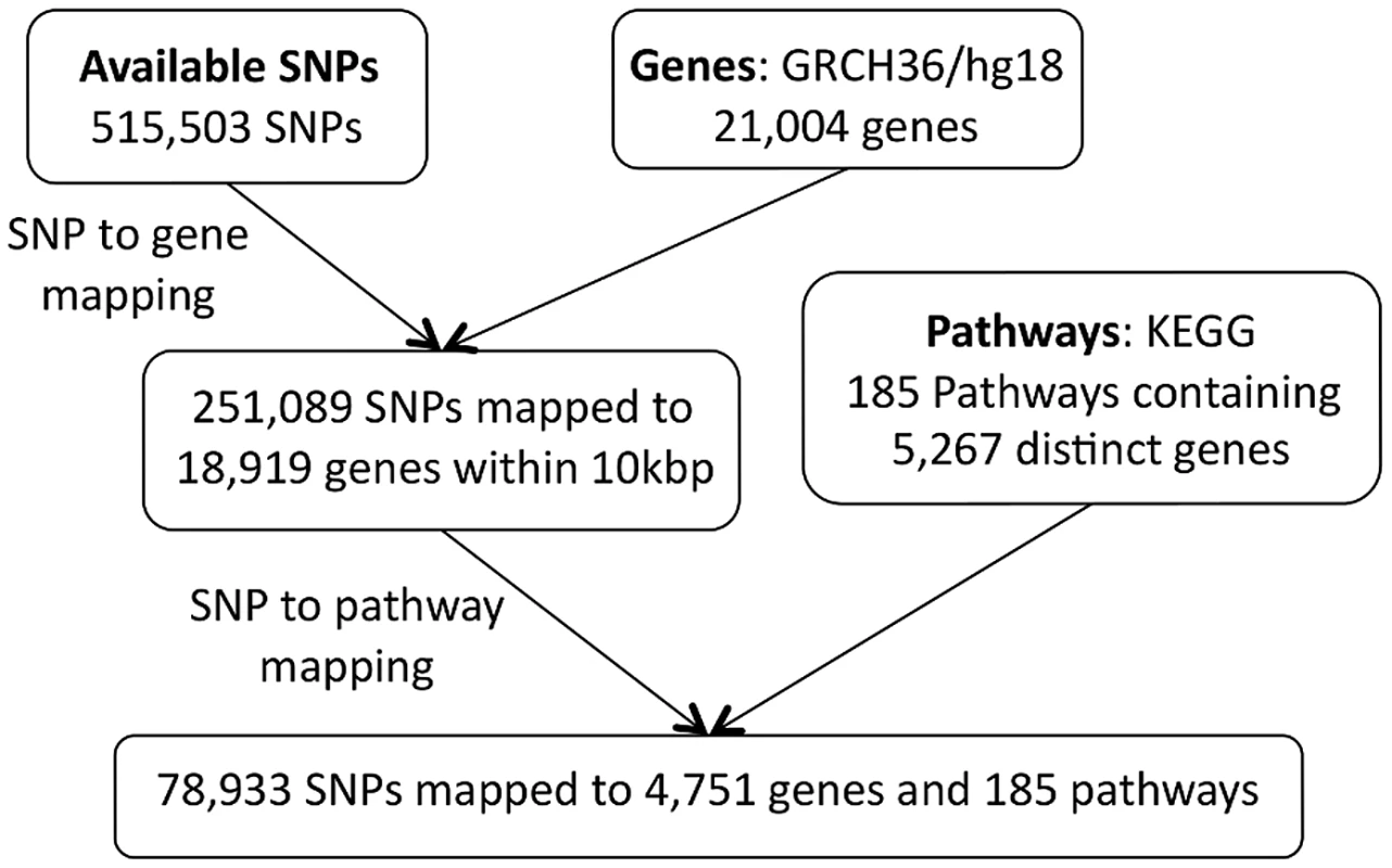 SiMES dataset: SNP to pathway mapping.