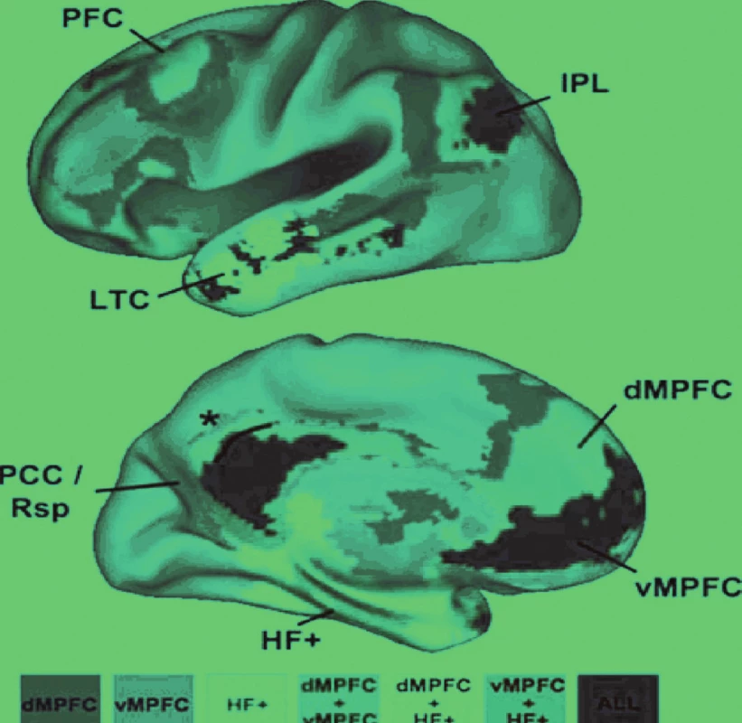 Těžiště („náby“, angl.hubs) a barevně vyznačené podsystémy implicitní sítě lidského mozku.
Legenda:
Třemi těžišti jsou
• dorzomediální prefrontální kůra (dMPFC),
• ventromediální prefrontální kůra (vMPFC), a
• hipokampální formace (HF+).
Kombinovaná mapa je velmi blízká mapě získané PET
Zadní cingulární a retrosplenická kůra (PCC/Rsp), lobulus parietalis inferior (IPL) a vMPFC jsou korové oblasti v nichž se sbíhají spoje všech ostatních oblastí sítě.
dMPFC a HF + jsou funkčně korelované s ostatními oblastmi sítě, nikoli však vzájemně. Patří tedy patrně v odlišným podsystémů.
Area 7m (označená hvězdičkou), která je součástí precuneu, součást intrinsické sítě není.
LTC je zevní spánková kůra.
ALL všechny