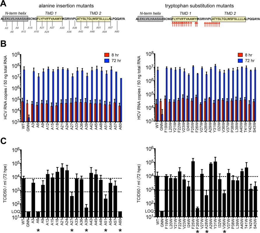 Large-scale mutagenesis of p7 has little impact on infectious virus production.