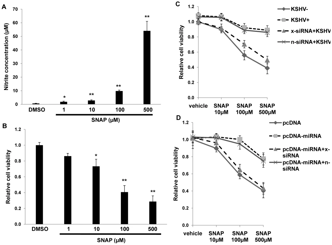 KSHV miRNAs enhance macrophage survival in an environment of oxidative stress through the upregulation of xCT.