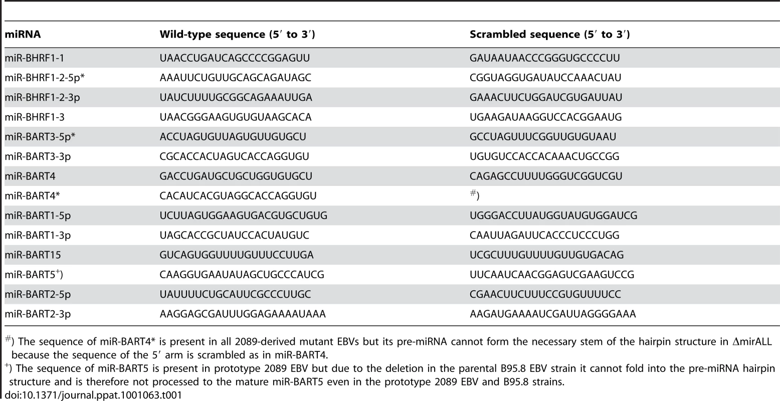 Wild-type sequences and corresponding scrambled versions of EBV-encoded miRNAs.