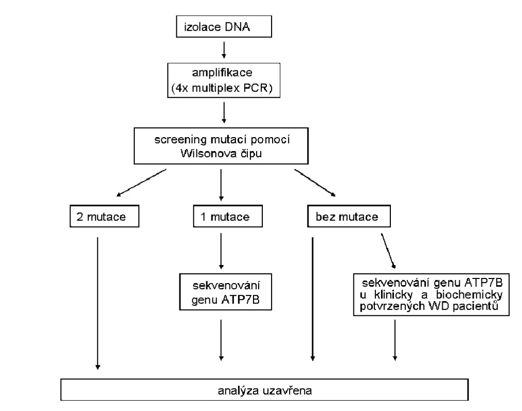 Schéma postupu molekulárně-genetického vyšetření Wilsonovy choroby