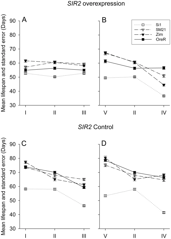 Mean lifespan and standard error of <i>SIR2</i> overexpression (A and B panels) and control (C and D panels) genotypes in different mitotype background.