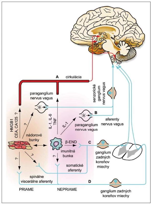 Predpokladané mechanizmy interakcií medzi nádorovým prostredím a centrálnym nervovým systémom [92].