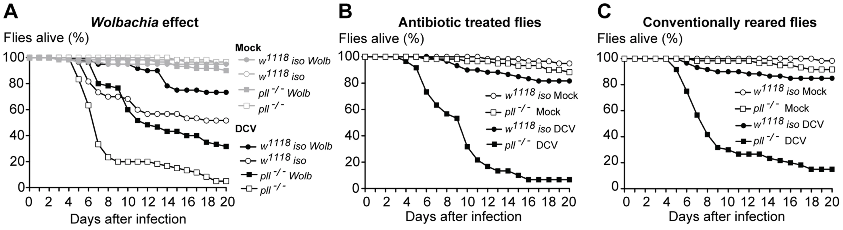 Lack of interaction between <i>Wolbachia</i> and other microbiota with Toll resistance to viruses.