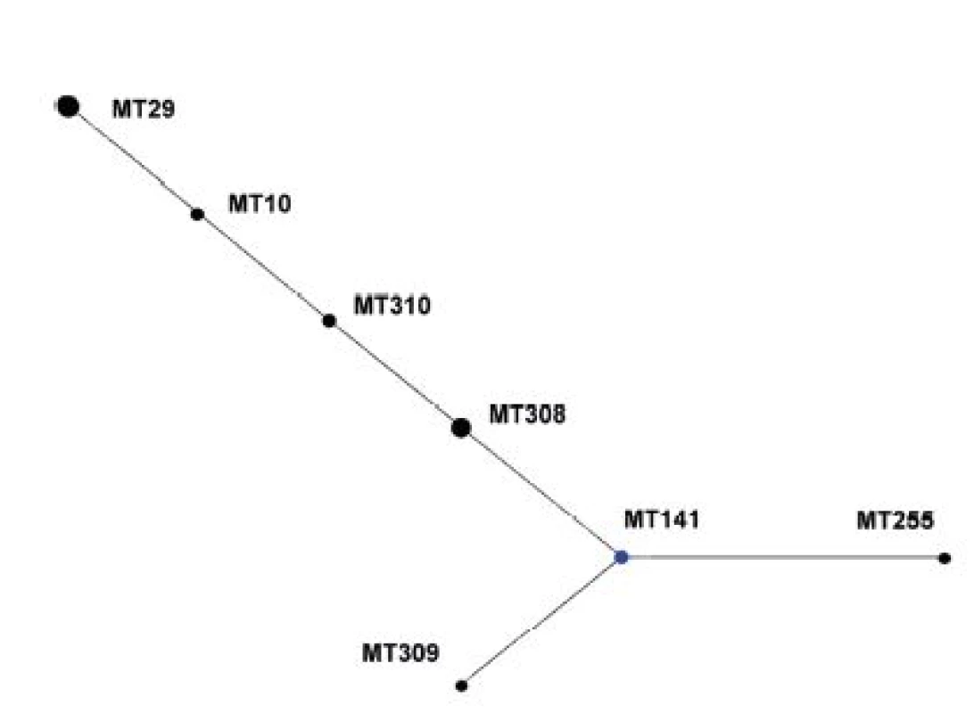 Diagram eBURST, MLVA analýza kmenů &lt;i&gt;B. pertussis,&lt;/i&gt; ČR, 1967–1980
Figure 2. eBURST diagram, MLVA analysis of &lt;i&gt;B. pertussis&lt;/i&gt; strain collection, Czech Republic, 1967–1980