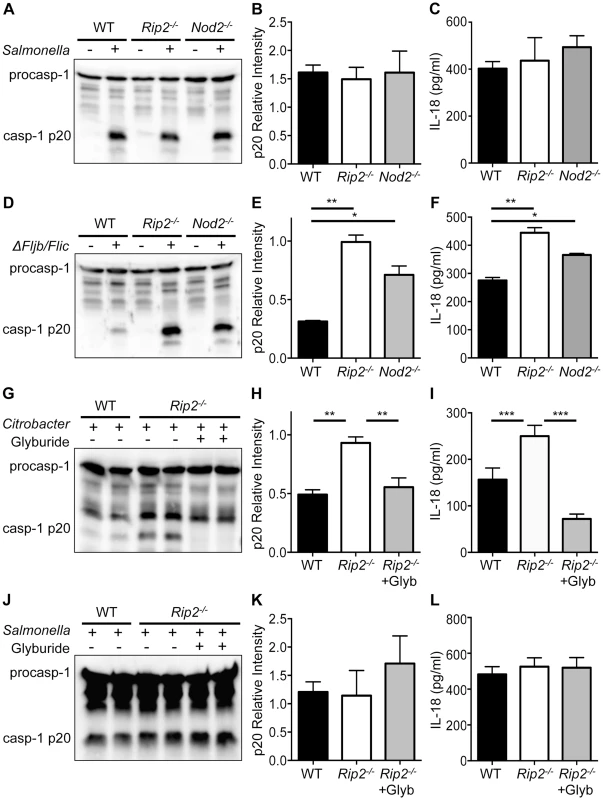 NOD2 and RIP2 specifically regulate NLRP3 inflammasome activation.