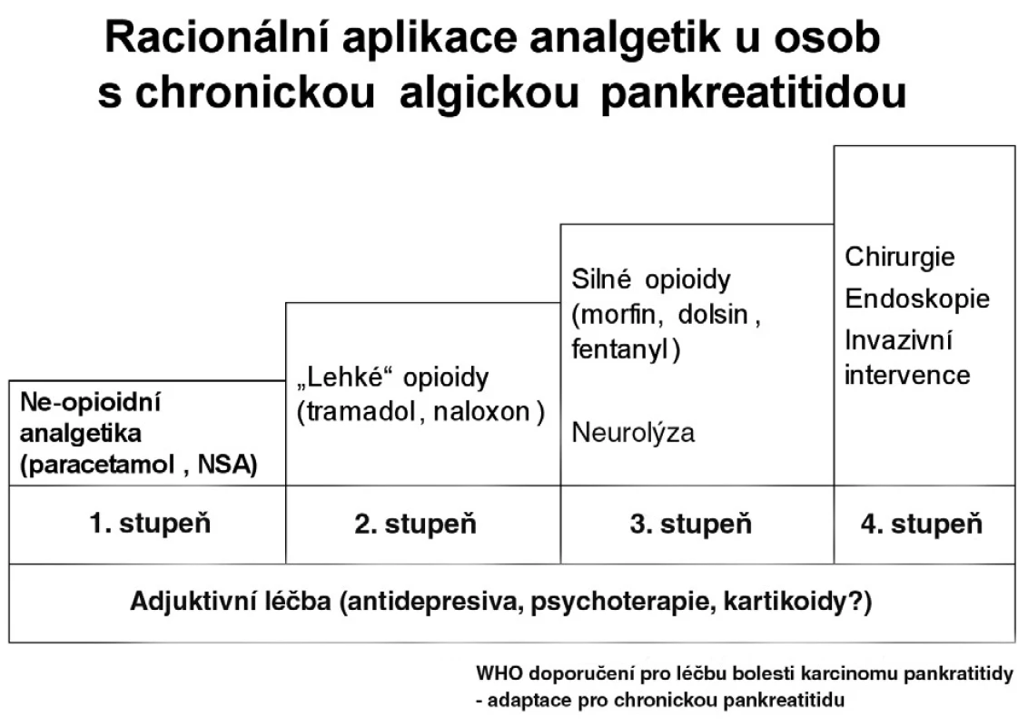 Racionální aplikace analgetik u osob s chronickou algickou pankreatitidou