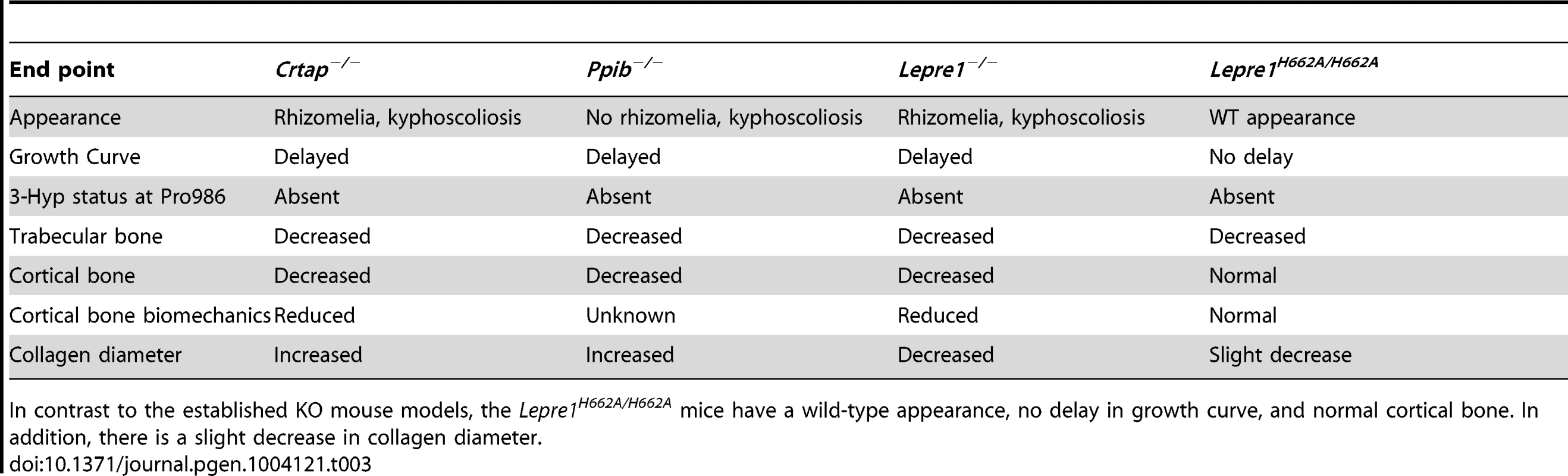 Table comparing <i>Lepre1<sup>H662A/H662A</sup></i> phenotype to established OI mouse models.
