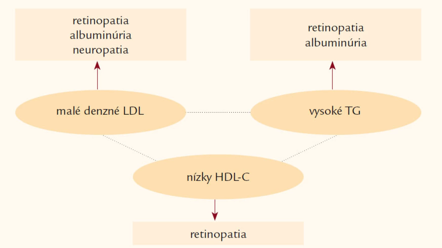 Aterogénna dyslipoproteinémia je asociovaná s vysokým KV rizikom.