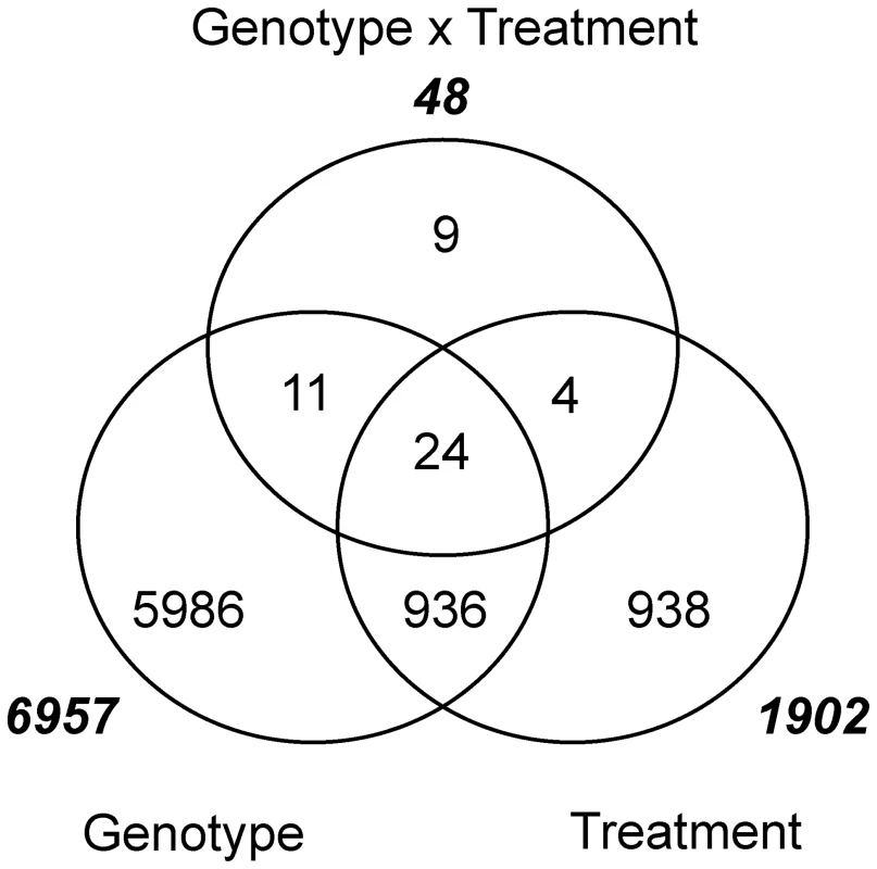Genes differentially expressed using parents Q21861 and SM89010 for genotype, treatment (INOC versus MOCK), and their interaction.