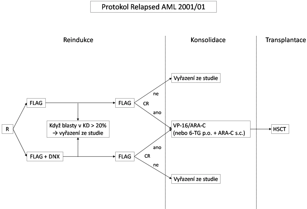 Schéma protokolu Relapsed AML 2001/01.