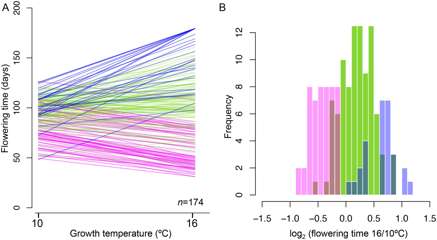 Reaction norms for flowering time at 10°C and 16°C in 173 Swedish lines (plus Col-0).
