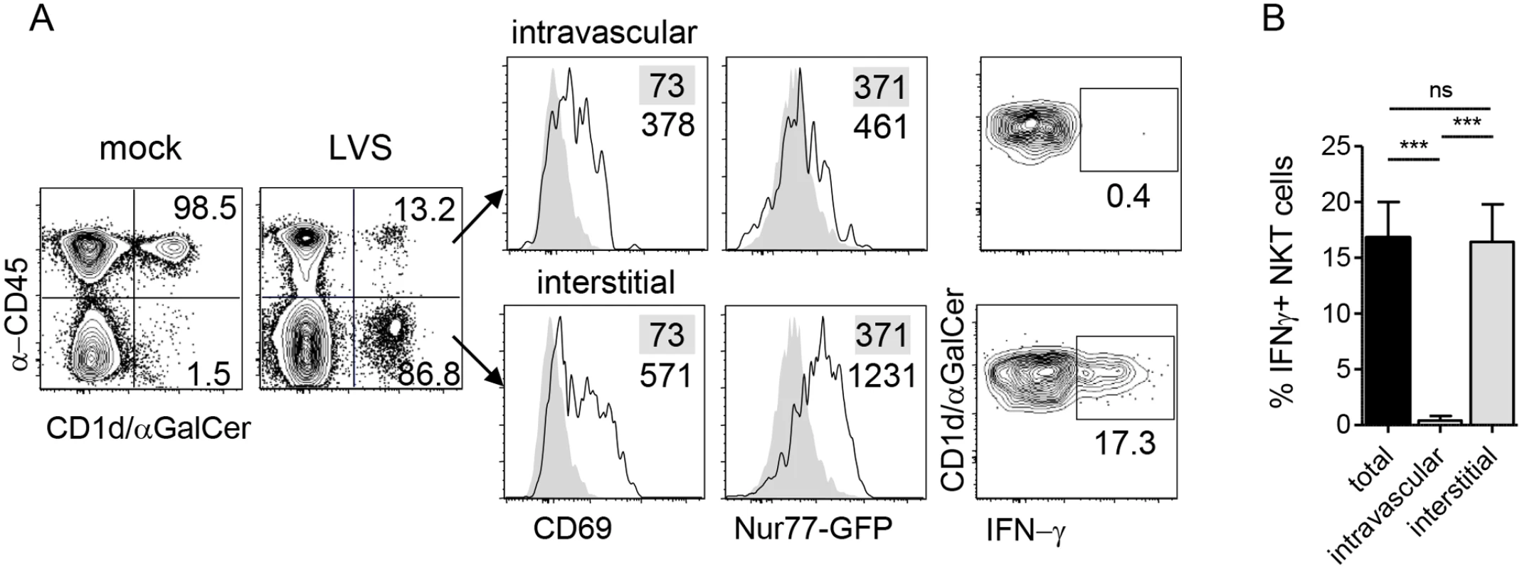 NKT cell activation by LVS is TCR-dependent.