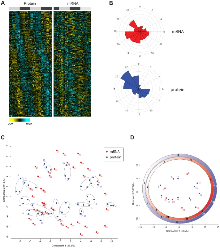 Divergence in the temporal profile of mouse liver proteome and transcriptome.