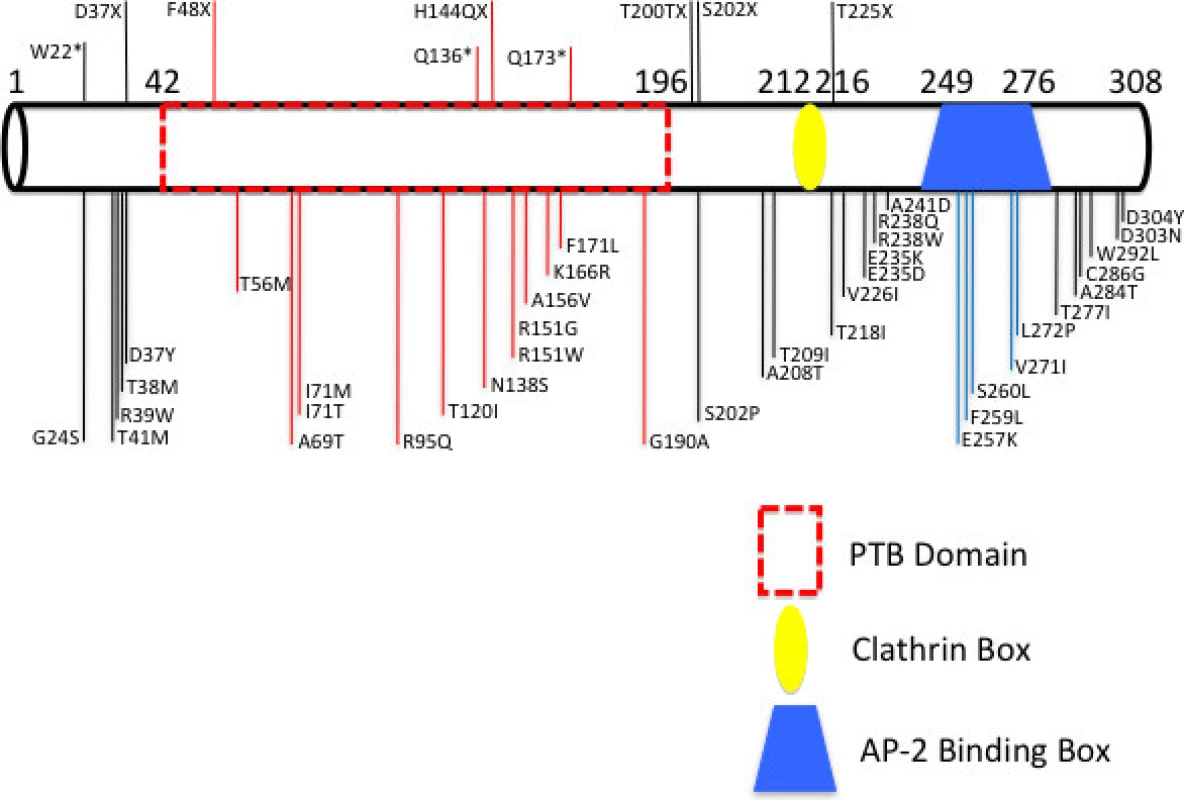 Diagram of all &lt;i&gt;LDLRAP1&lt;/i&gt; mutations ever reported and their location on the protein.