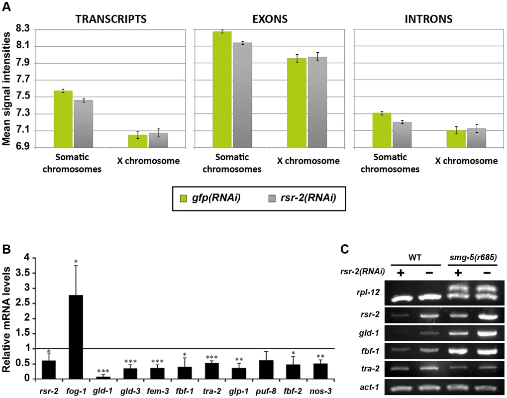 Reduction of transcript levels in <i>rsr-2(RNAi)</i> L4 animals.