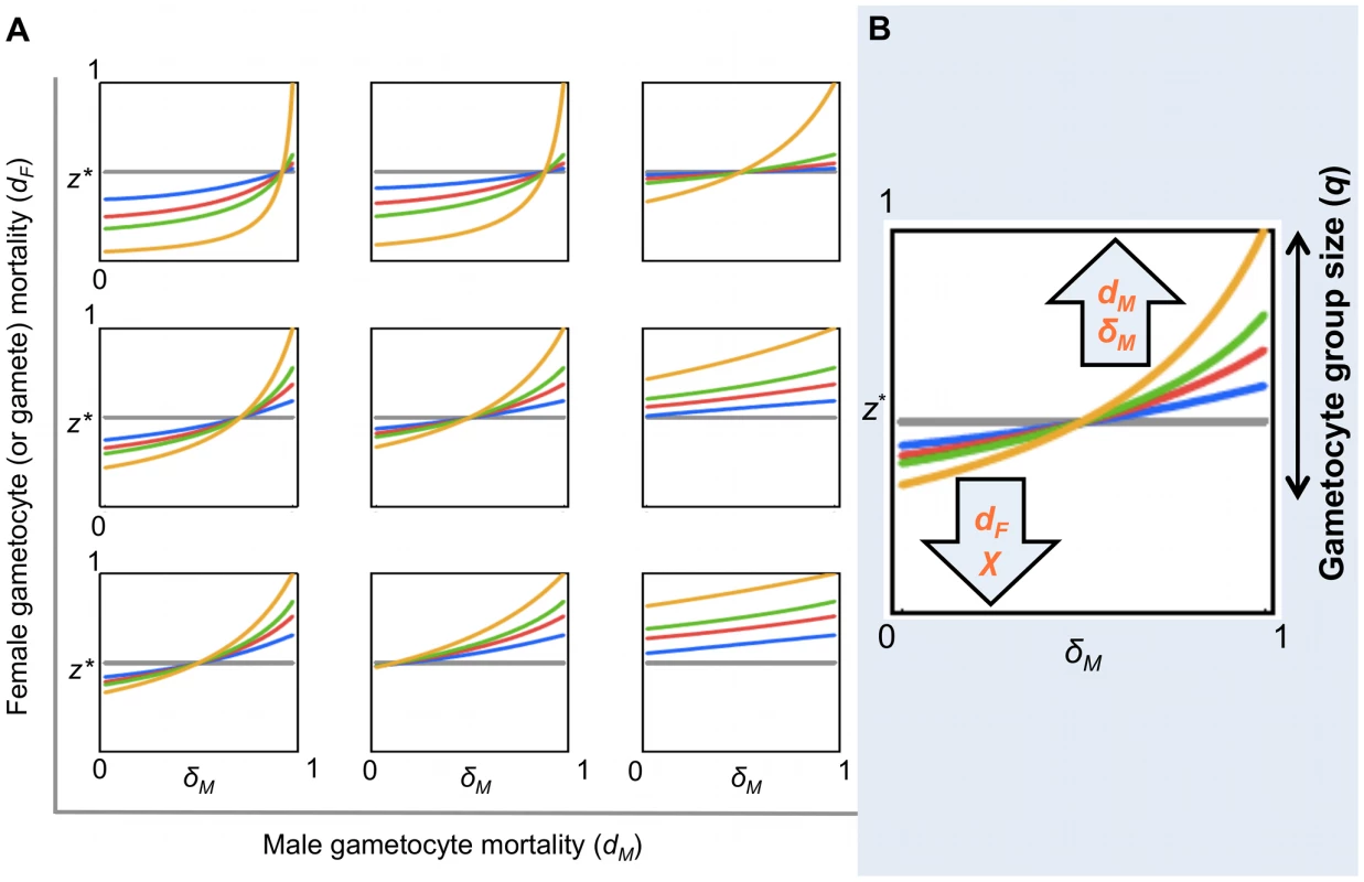 Evolutionarily stable sex allocation strategies when sex- and stage-specific mortality rates vary.