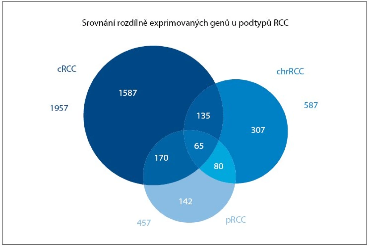 Množinový diagram znázorňující souvislost jednotlivých histologických podtypů Rcc (cRCC – světlobuněčný renální karcinom, pRCC – papilární renální karcinom, chrRCC – chromofobní renální karcinom) na úrovni profi lů genové exprese. Čísla udávají počty genů se signifi kantně rozdílnou expresí. Upraveno podle Jonese et al [9].