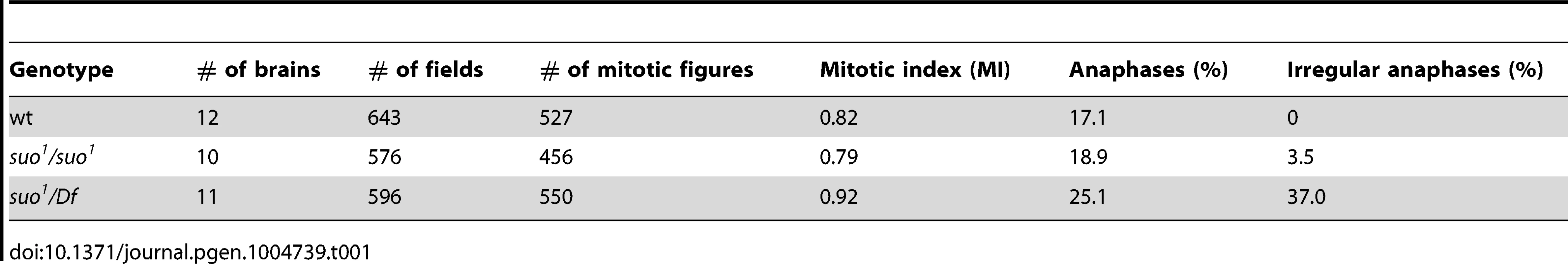 Mitotic parameters in &lt;i&gt;Top2&lt;/i&gt; mutants.