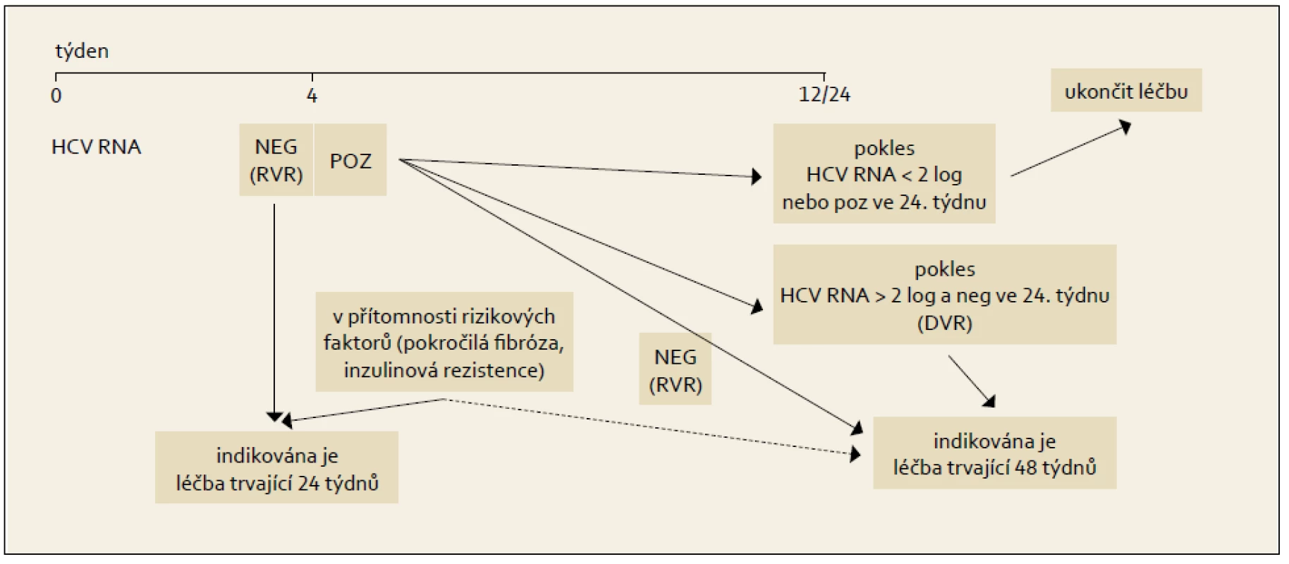 Léčba vedená podle dosažené virologické odpovědi během terapie, genotypy HCV 2 + 3.
Fig. 7. Treatment administered based on the achieved virological response during the therapy, HCV 2 + 3 genotypes.