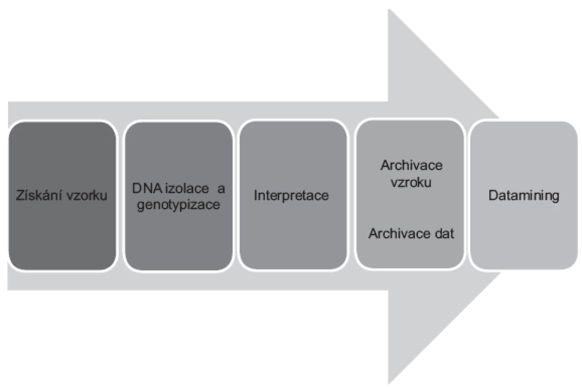 Procesní pohled na DNA analýzu