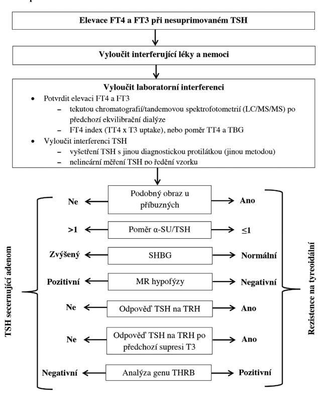 Diagnostický postup při nálezu elevace tyreoidálních hormonů při nesuprimovaném TSH (upraveno podle 3) TSH – tyreoidální stimulační hormon, FT4 – volný tyroxin, FT3 – volný trijodtyronin, TT4 – celkový tyroxin, T3 – trijodtyronin, TBG – tyroxin vázající globulin, α-SU – alfa podjednotka TSH a gonadotropinů, SHGB – pohlavní hormony vázající globulin, MR – magnetická rezonance, TRH – tyreoliberin, THRB – gen pro beta tyreoidální receptor