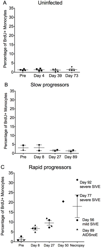 Increased percentage of BrdU+ monocytes is predictive rapid progression to AIDS and severity of SIVE.